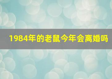 1984年的老鼠今年会离婚吗