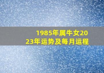 1985年属牛女2023年运势及每月运程