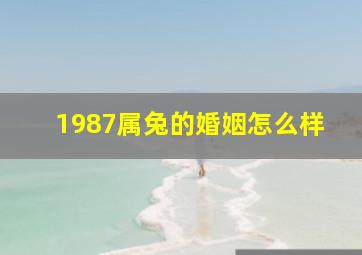 1987属兔的婚姻怎么样