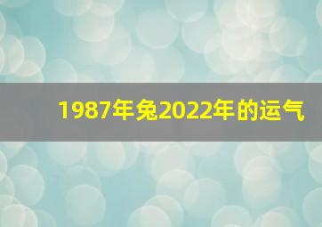 1987年兔2022年的运气