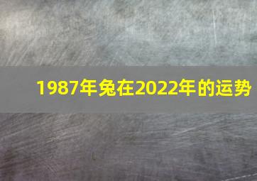 1987年兔在2022年的运势