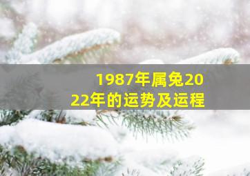 1987年属兔2022年的运势及运程