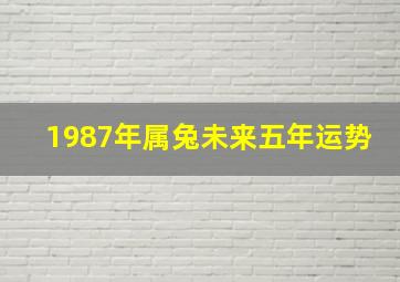 1987年属兔未来五年运势