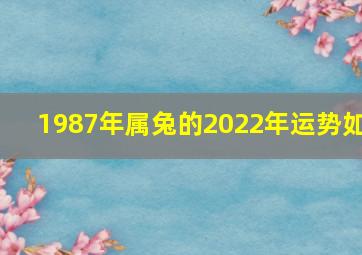 1987年属兔的2022年运势如