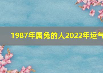 1987年属兔的人2022年运气