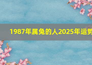 1987年属兔的人2025年运势