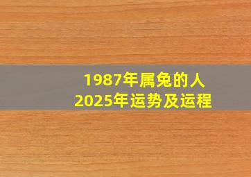 1987年属兔的人2025年运势及运程