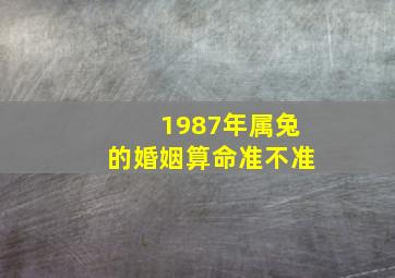 1987年属兔的婚姻算命准不准