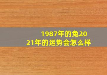 1987年的兔2021年的运势会怎么样