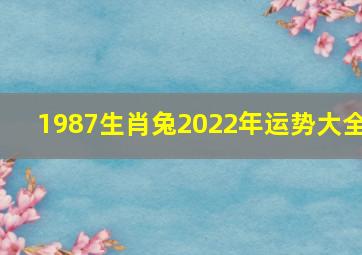 1987生肖兔2022年运势大全