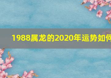 1988属龙的2020年运势如何