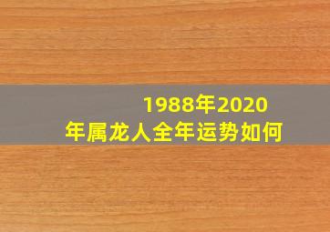 1988年2020年属龙人全年运势如何