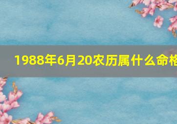 1988年6月20农历属什么命格