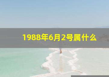 1988年6月2号属什么