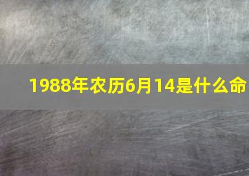 1988年农历6月14是什么命