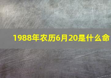 1988年农历6月20是什么命