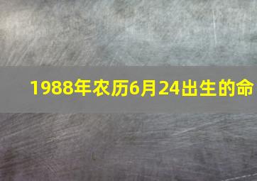 1988年农历6月24出生的命