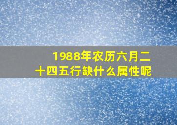 1988年农历六月二十四五行缺什么属性呢