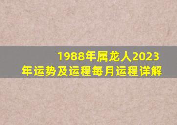 1988年属龙人2023年运势及运程每月运程详解