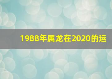 1988年属龙在2020的运