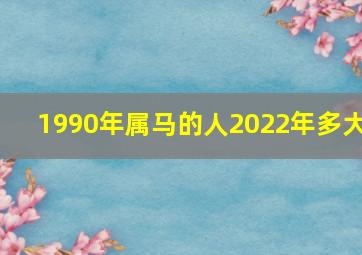 1990年属马的人2022年多大