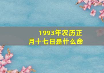 1993年农历正月十七日是什么命