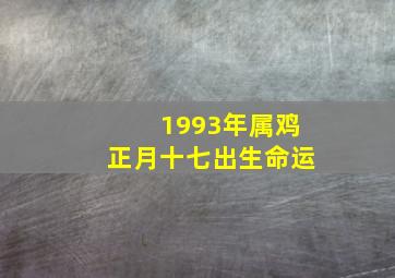 1993年属鸡正月十七出生命运