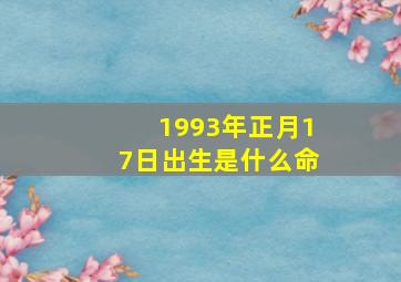 1993年正月17日出生是什么命