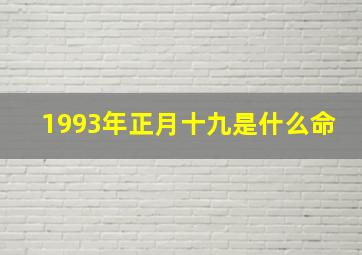 1993年正月十九是什么命