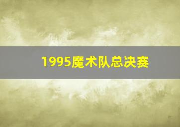 1995魔术队总决赛