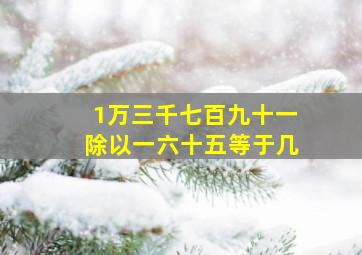 1万三千七百九十一除以一六十五等于几