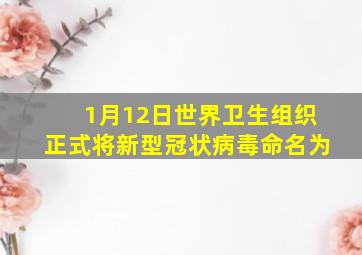 1月12日世界卫生组织正式将新型冠状病毒命名为