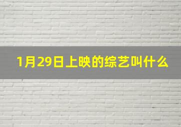 1月29日上映的综艺叫什么