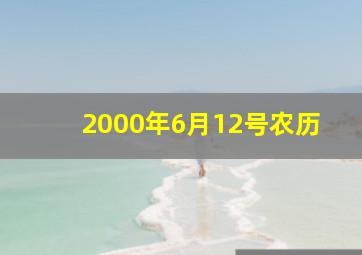 2000年6月12号农历