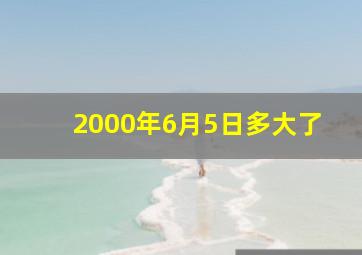 2000年6月5日多大了