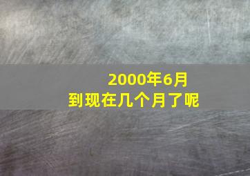 2000年6月到现在几个月了呢