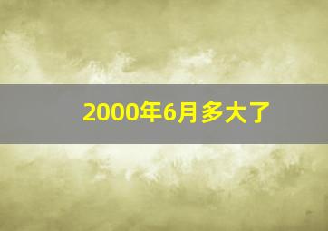 2000年6月多大了