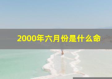 2000年六月份是什么命