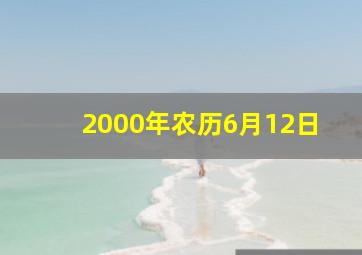 2000年农历6月12日