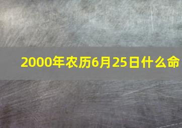 2000年农历6月25日什么命