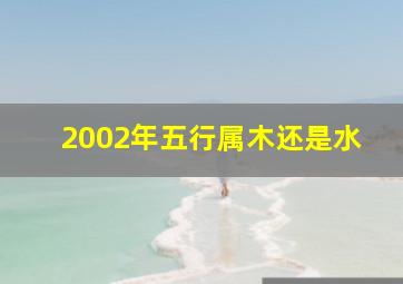 2002年五行属木还是水