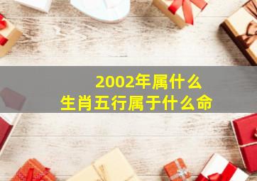 2002年属什么生肖五行属于什么命