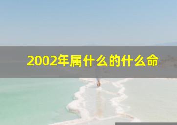 2002年属什么的什么命