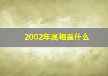 2002年属相是什么