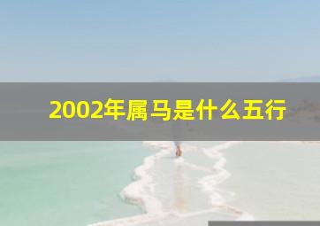 2002年属马是什么五行