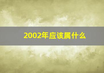 2002年应该属什么