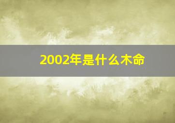 2002年是什么木命