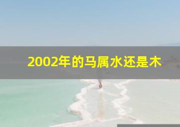 2002年的马属水还是木