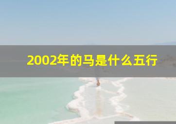 2002年的马是什么五行