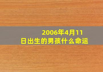 2006年4月11日出生的男孩什么命运